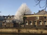 907590 Gezicht op de voorgevel van het pand Hogenoord 6 te Utrecht, met links een berijpte boom, vanuit de tuin van het ...